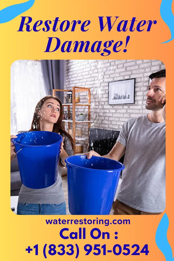 water restoration Imperial Flood Damage Professionals Martinsburg