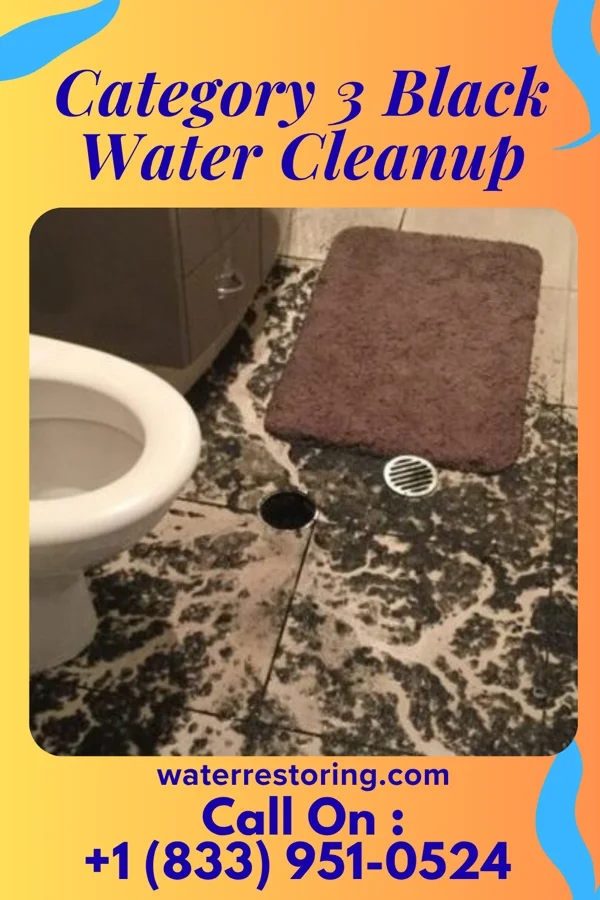 Category 3 Black Water Cleanup in Martinsburg, WV