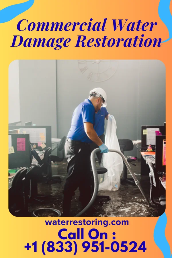 Commercial Water Damage Restoration in Martinsburg, WV