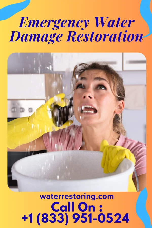 Emergency Water Damage Restoration in Martinsburg, WV