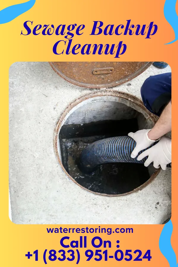 Sewage Backup Cleanup in Martinsburg, WV