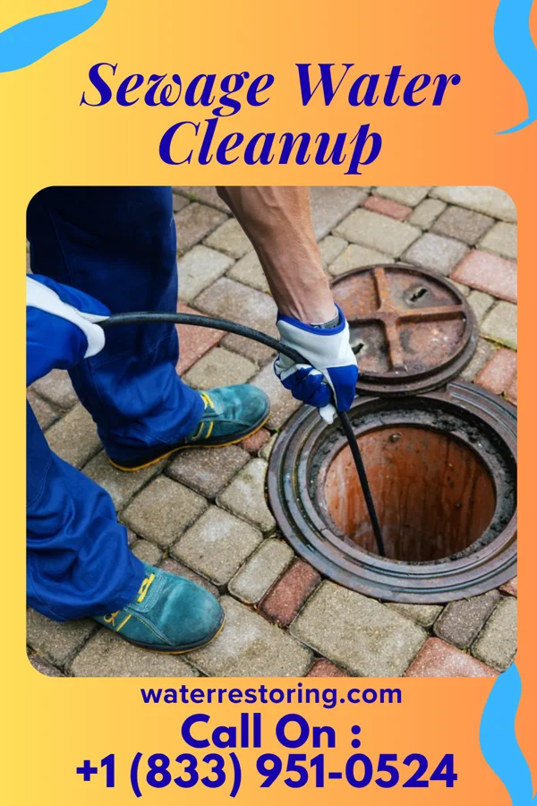 Sewage Water Cleanup in Martinsburg, WV
