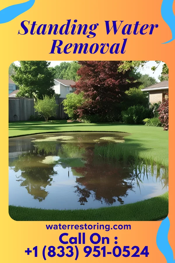 Standing Water Removal in Martinsburg, WV